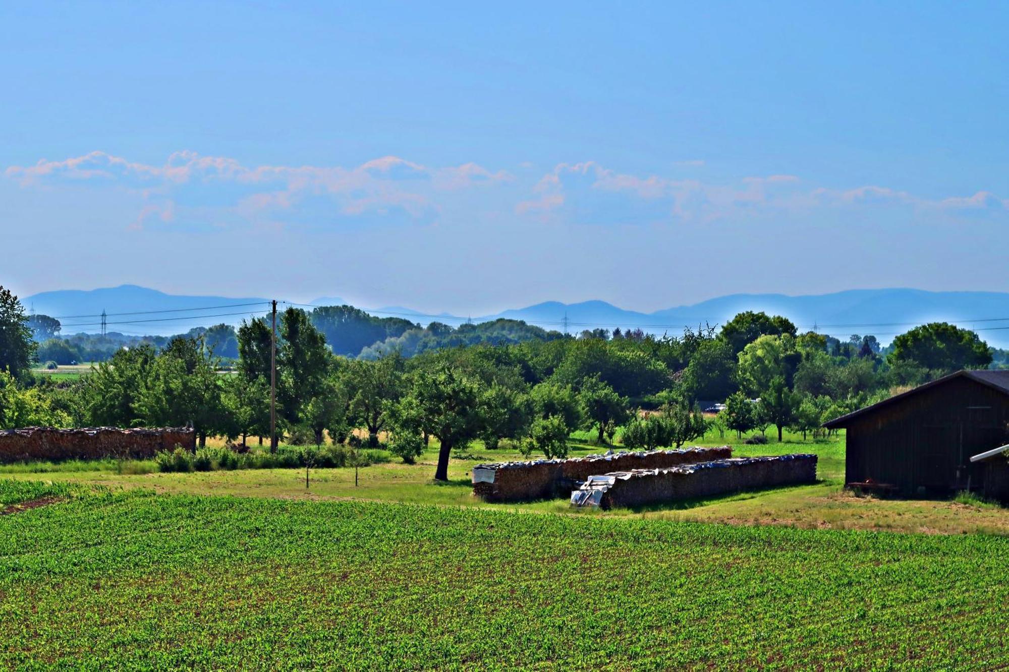 Gaestehaus Heimelig Herbolzheim Bagian luar foto